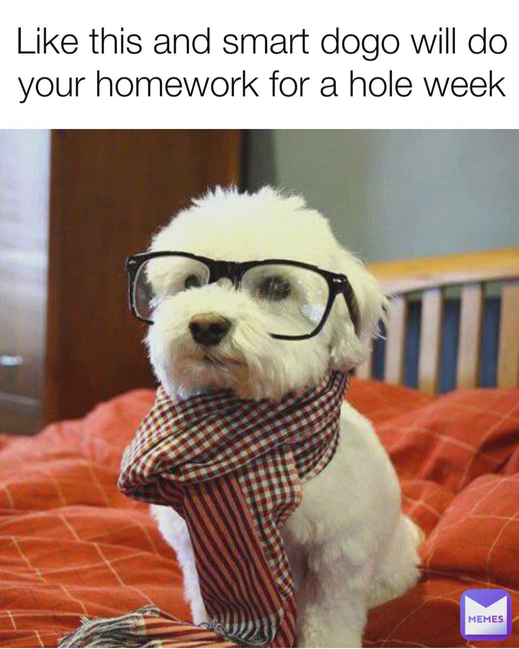 Like this and smart dogo will do your homework for a hole week
