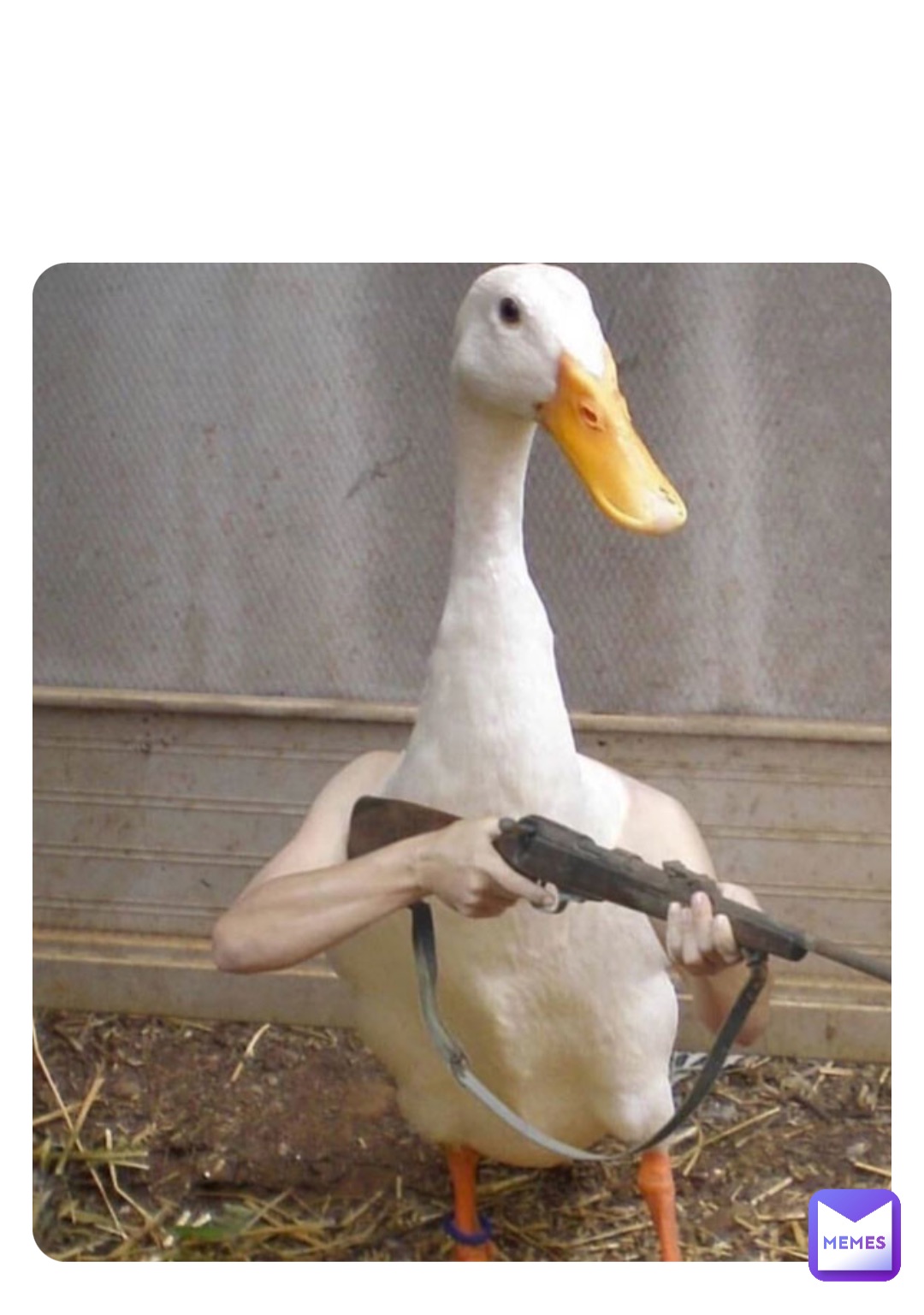 Meme by deaveousboy_hehe