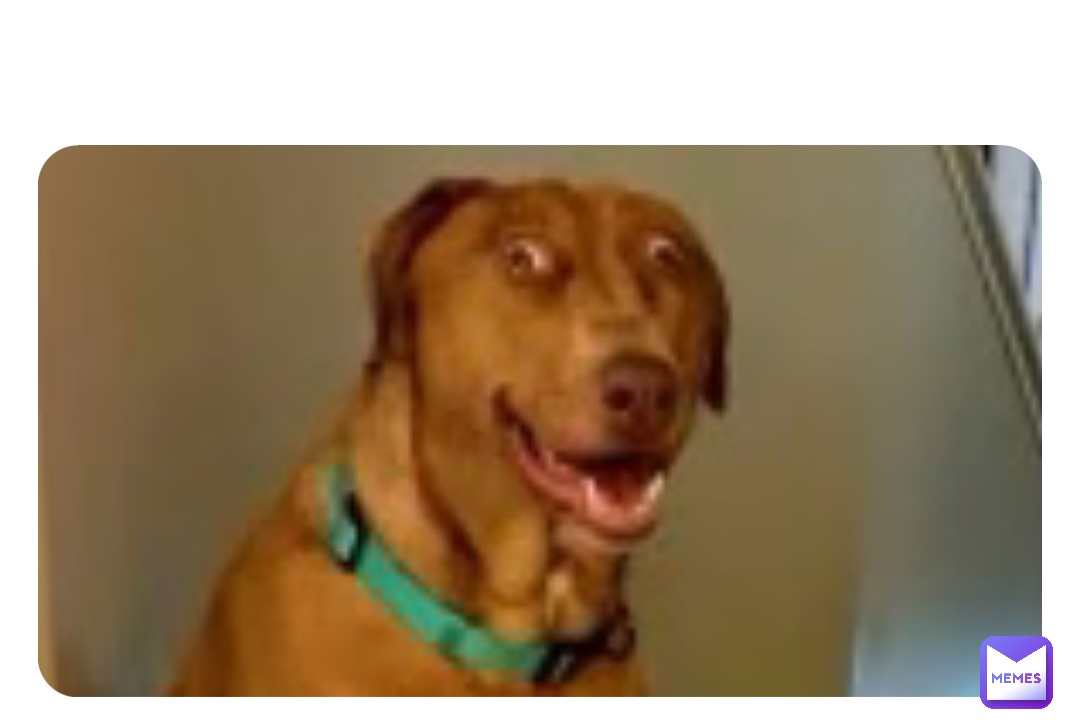 Meme by deaveousboy_hehe