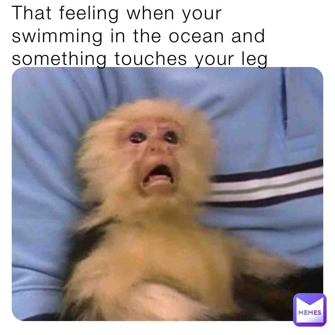 Meme shared by @josh567