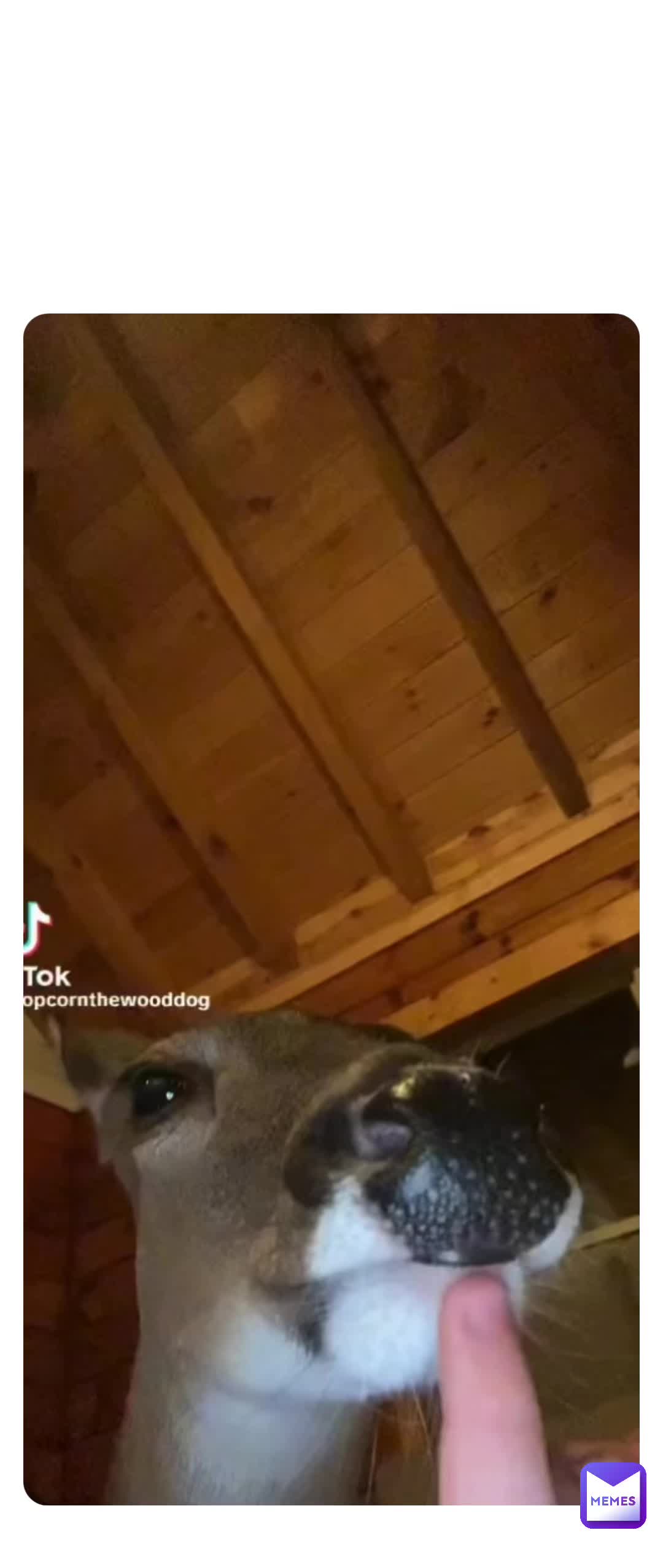 Meme preview