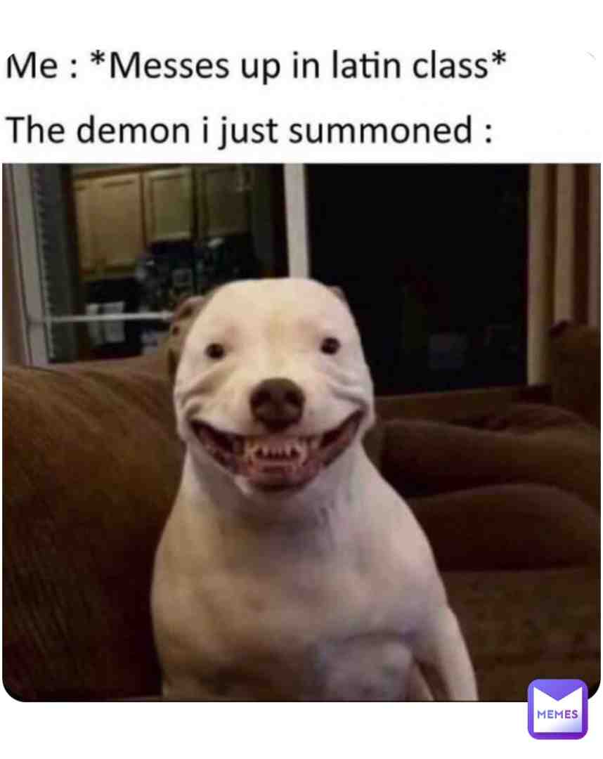 Meme shared by @TheRealElMacho