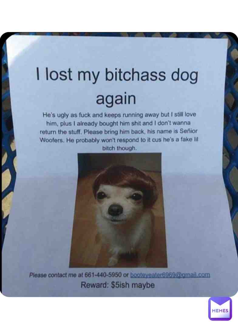 Meme shared by @TheRealElMacho