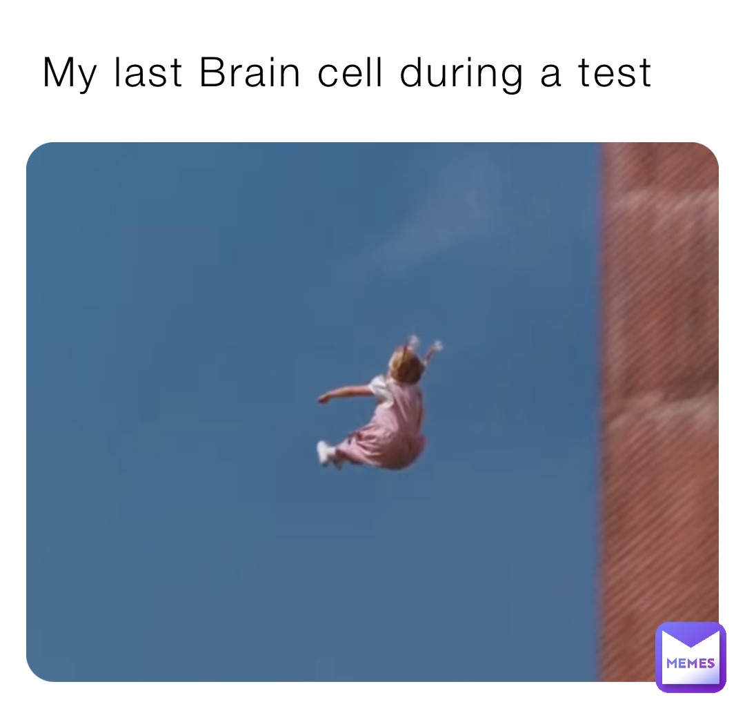 My last Brain cell during a test