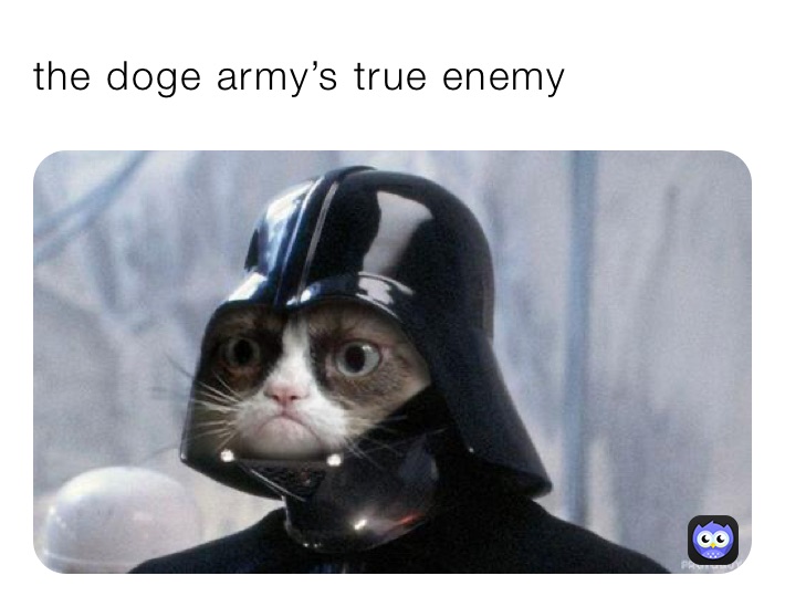 the doge army’s true enemy 
