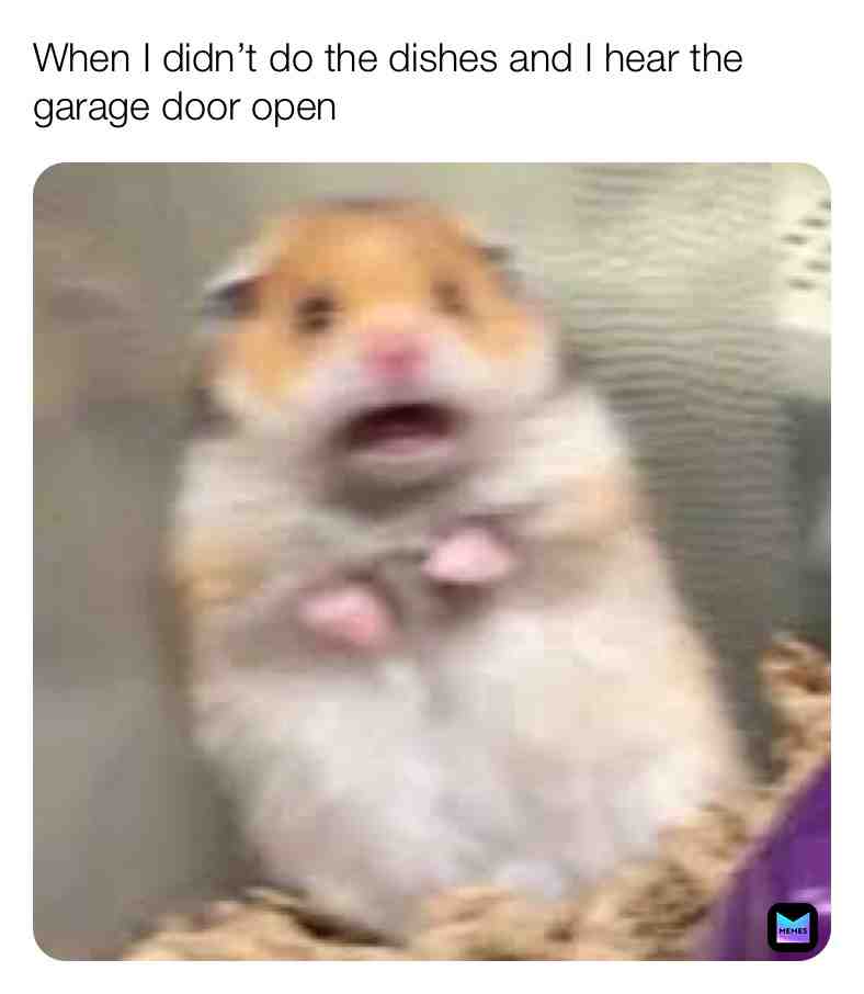 Meme shared by @gerdtkay000