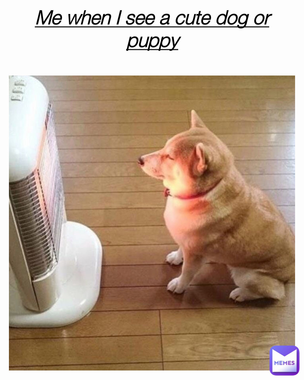 Me when I see a cute dog or puppy
