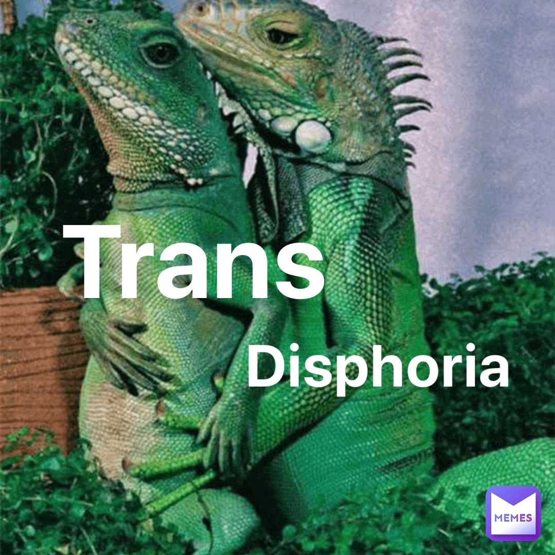 Trans Disphoria