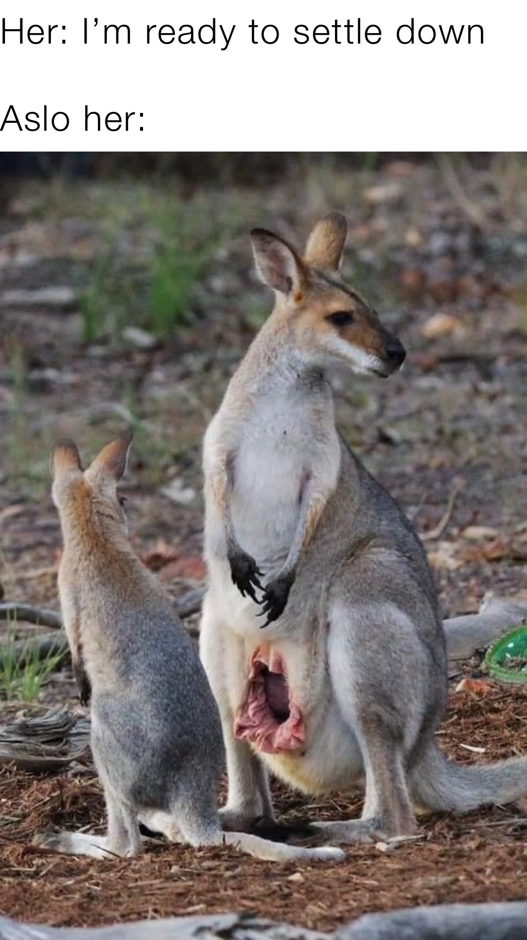 Meme by fluey_vuitton