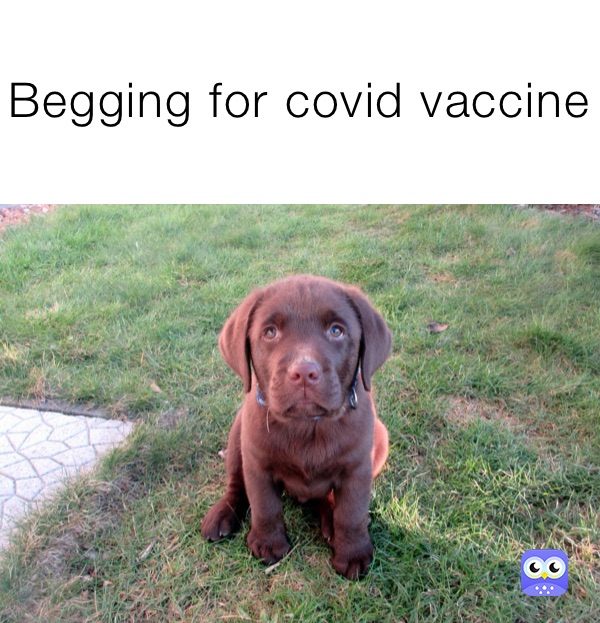 Begging for covid vaccine