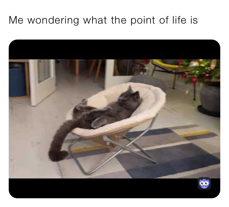 Meme by FossilizedJokes