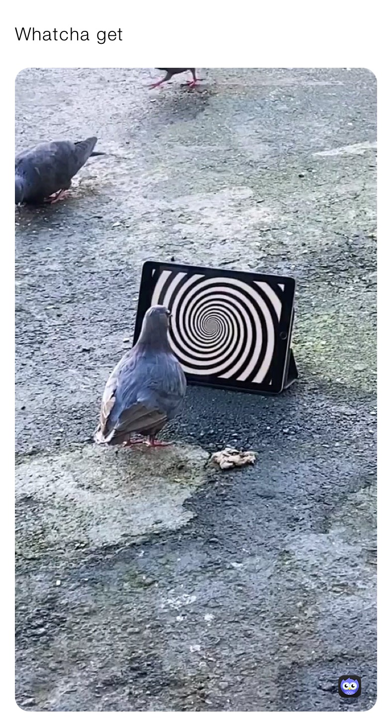 Meme by FossilizedJokes