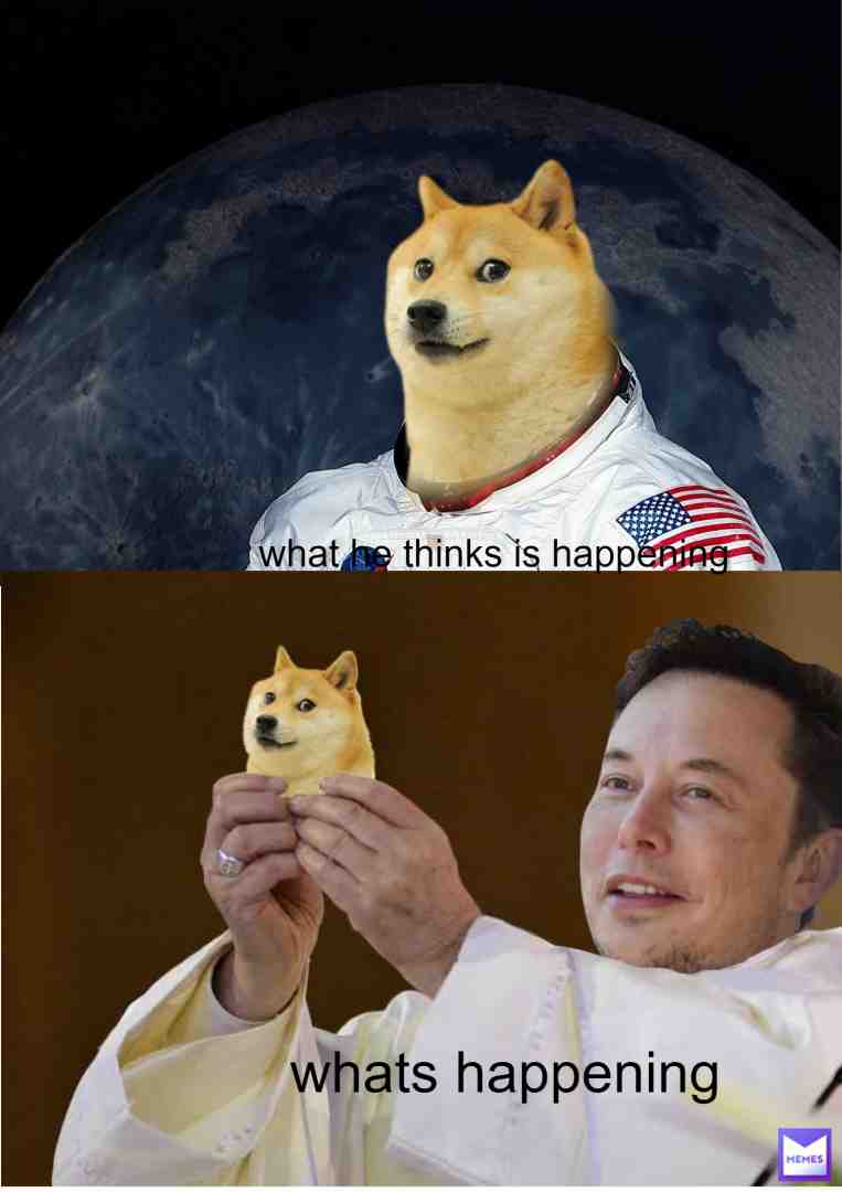 ...welp sorry for not posting for a bit but I'm back from my trip with no pc laptop iPad or phone so that's why but here a meme doge mind derp
