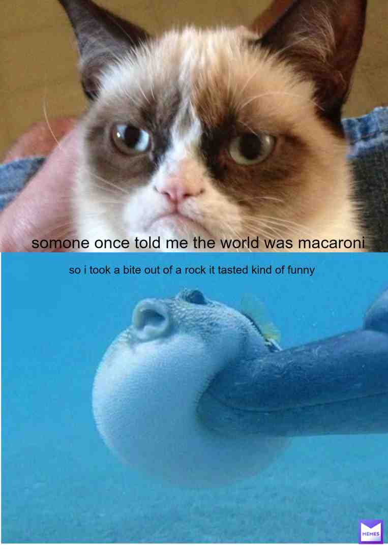 ORIGINAL SONG: Somebody once told me the world is gonna roll me, I ain’t the sharpest tool in the shed. got this from:somebody once told me the world was macaroni, so I took a bite out of a tree. It tasted kinda funny so I spit it at a bunny and the bunny got mad at me.