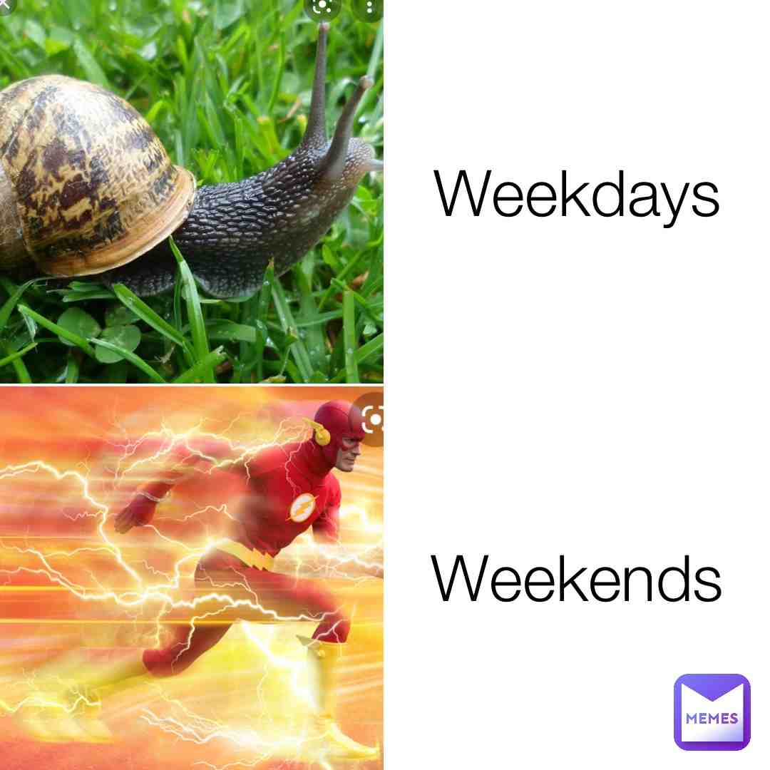 Meme preview