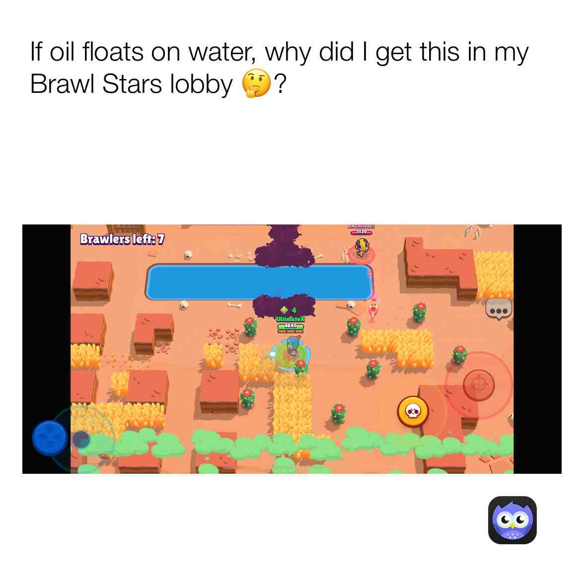 Seriously, WTF?