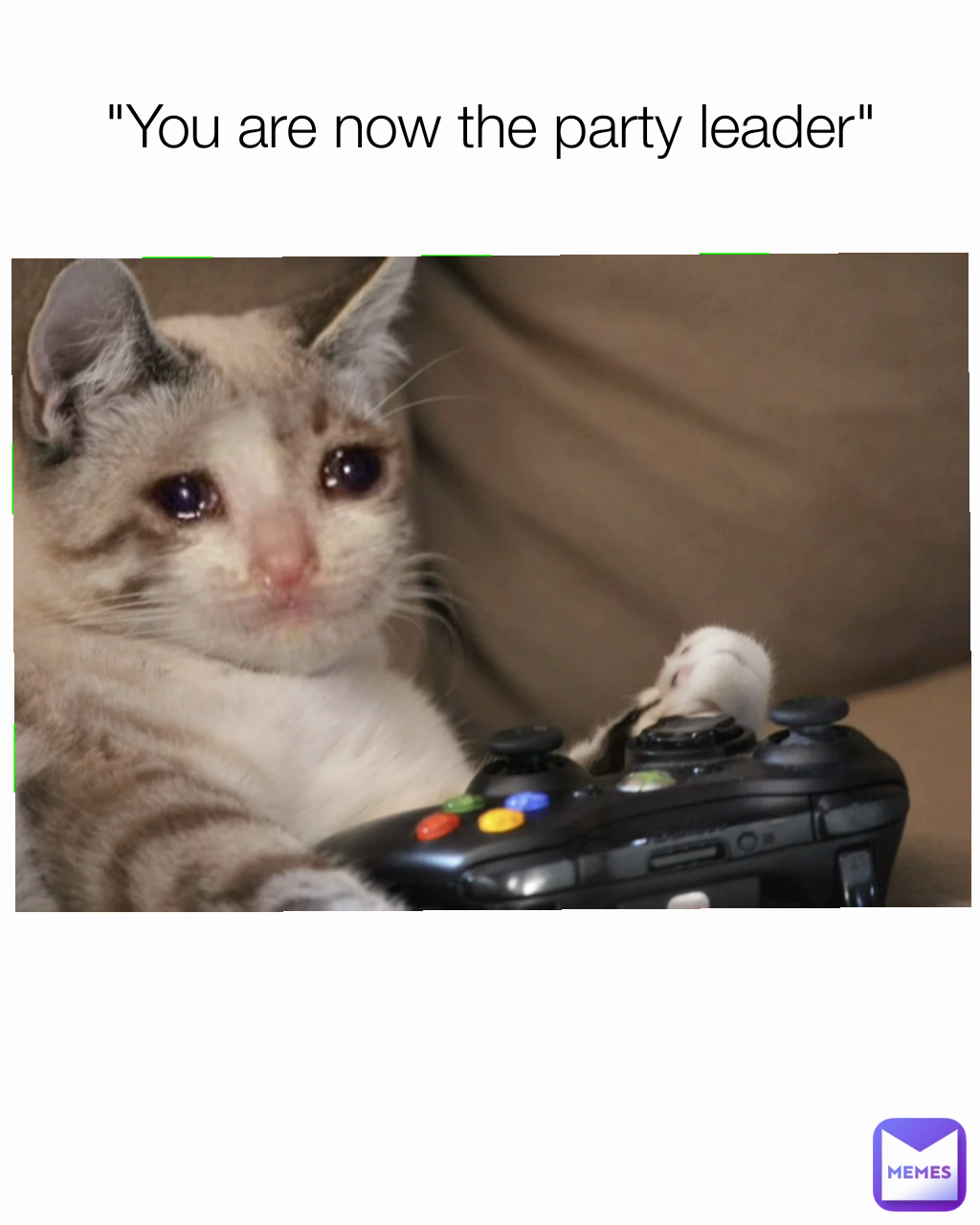 "You are now the party leader"