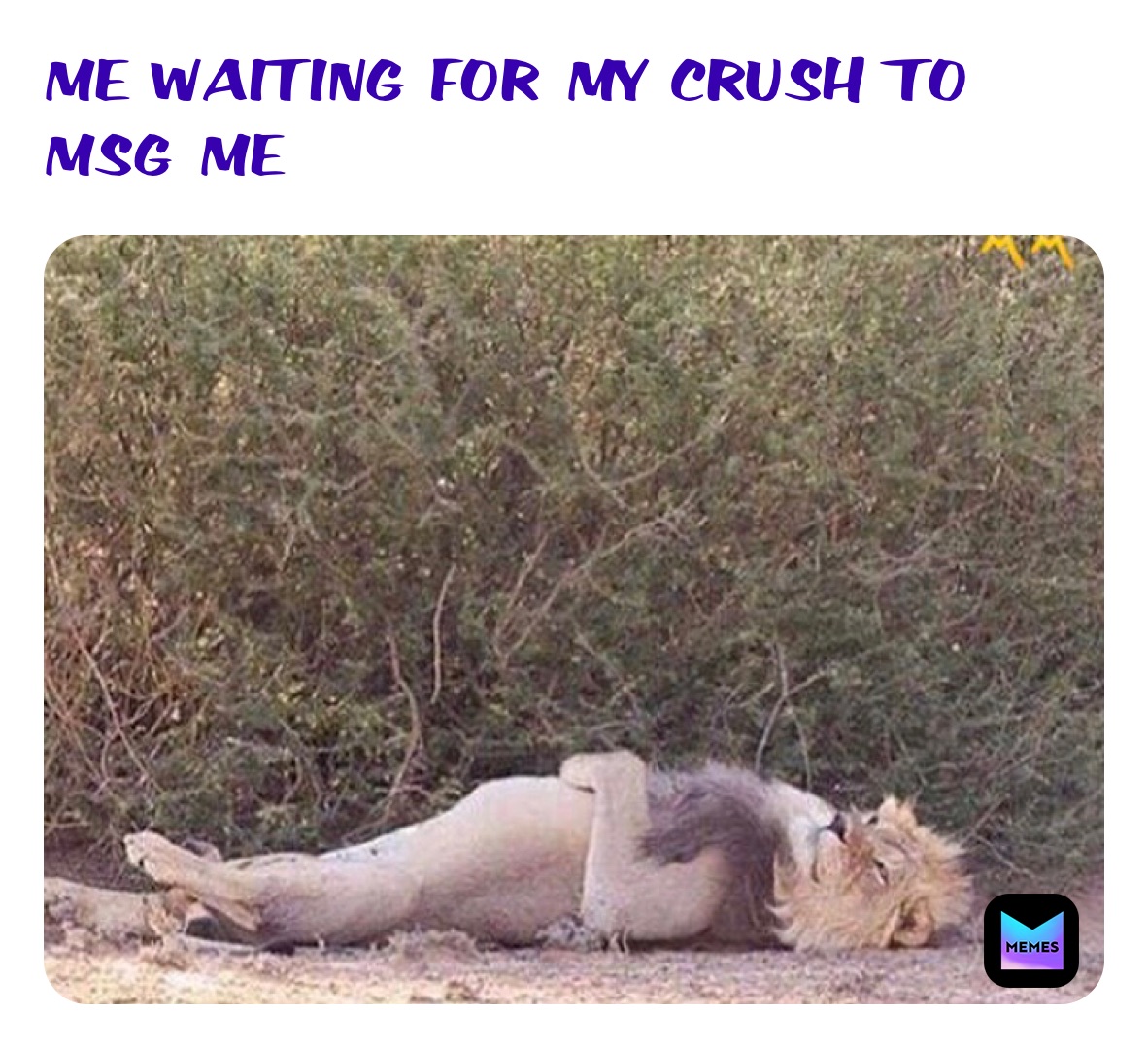 ME WAITING FOR MY CRUSH TO MSG ME 
