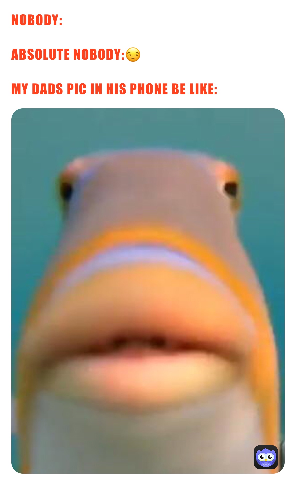 Meme by Lena_Paul684