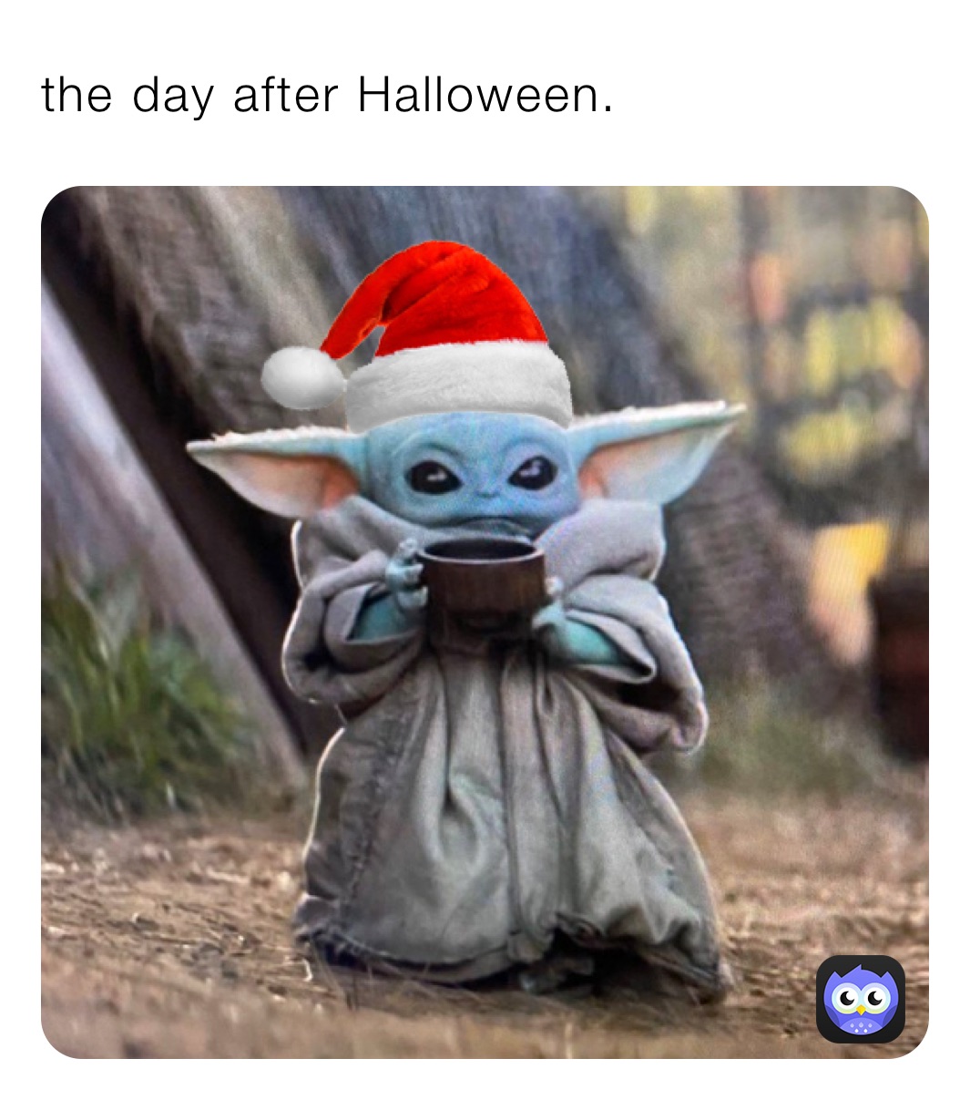 the day after Halloween.￼