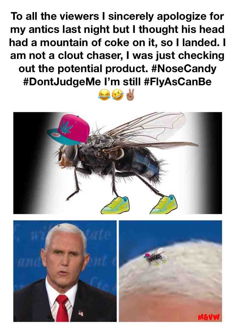 Lmao 🤣  #Welp   #debate  #mikepence  #fly #memes #jokes