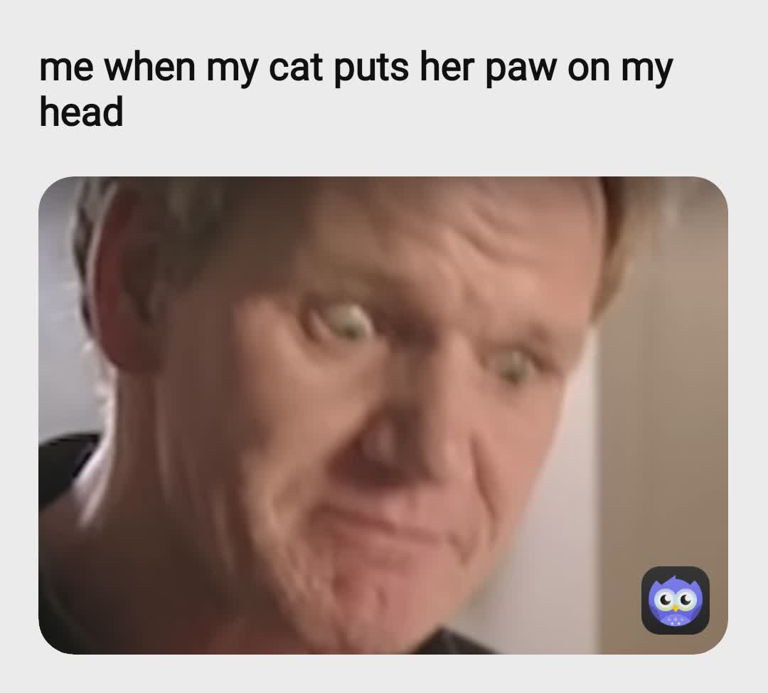 Meme by memeacademy2