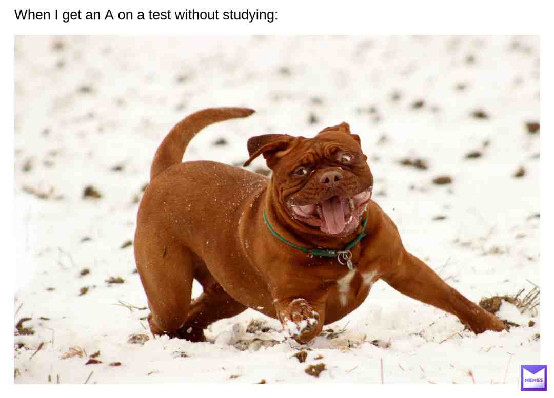 I wouldn't know, cause I never get A's :,)
