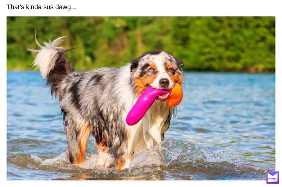 [keyboard smash] nhbnggbgbvbgvqnjmcn