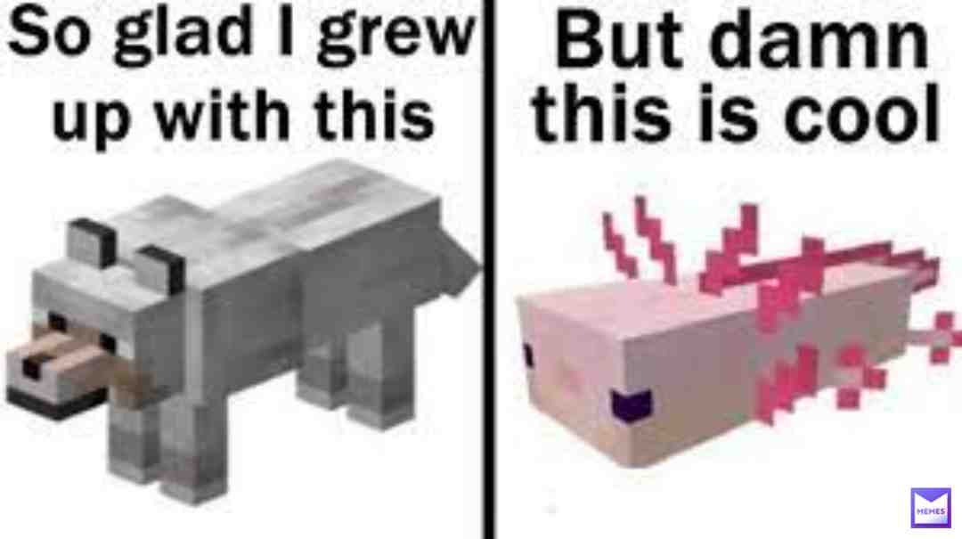 Facts