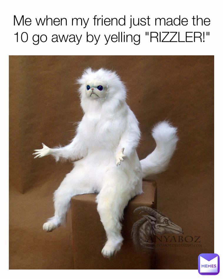 Me when my friend just made the 10 go away by yelling "RIZZLER!"