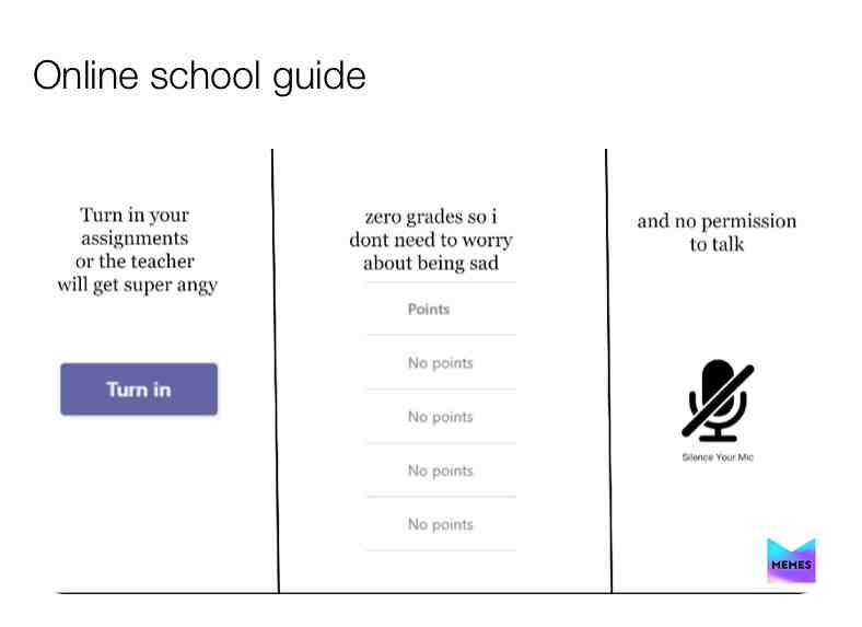 An accurate guide to online school.