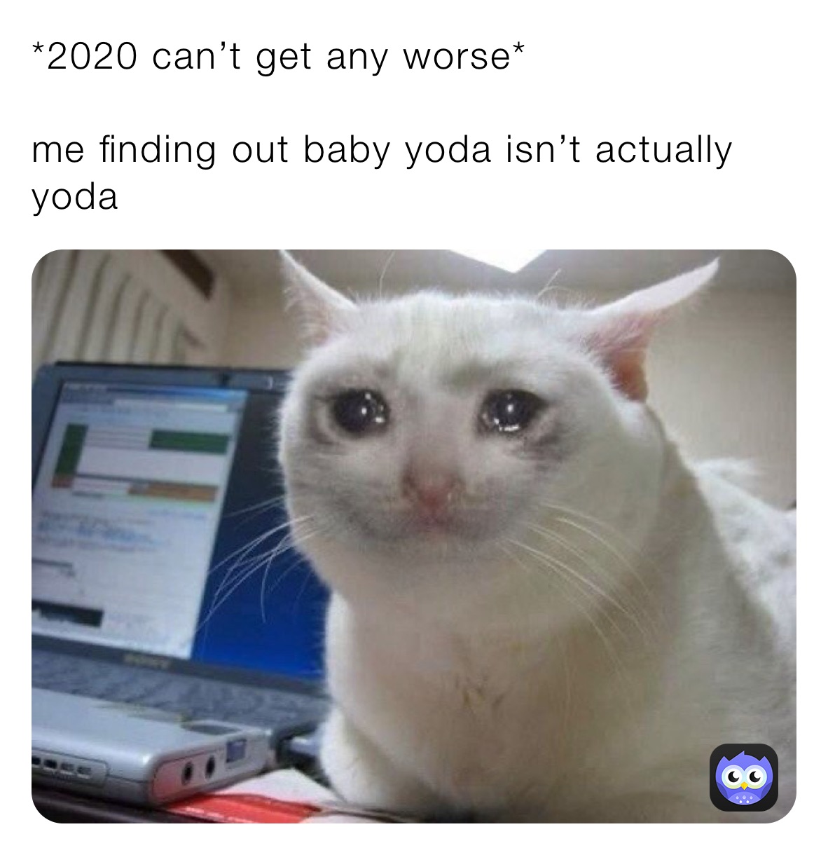 *2020 can’t get any worse* 

me finding out baby yoda isn’t actually yoda 