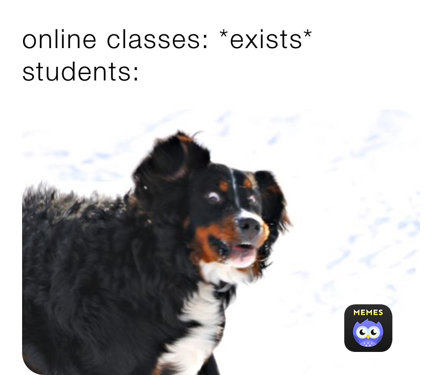 online classes: *exists*
students: