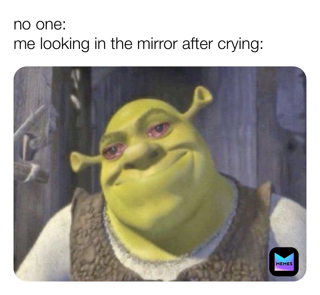 no one:
me looking in the mirror after crying: