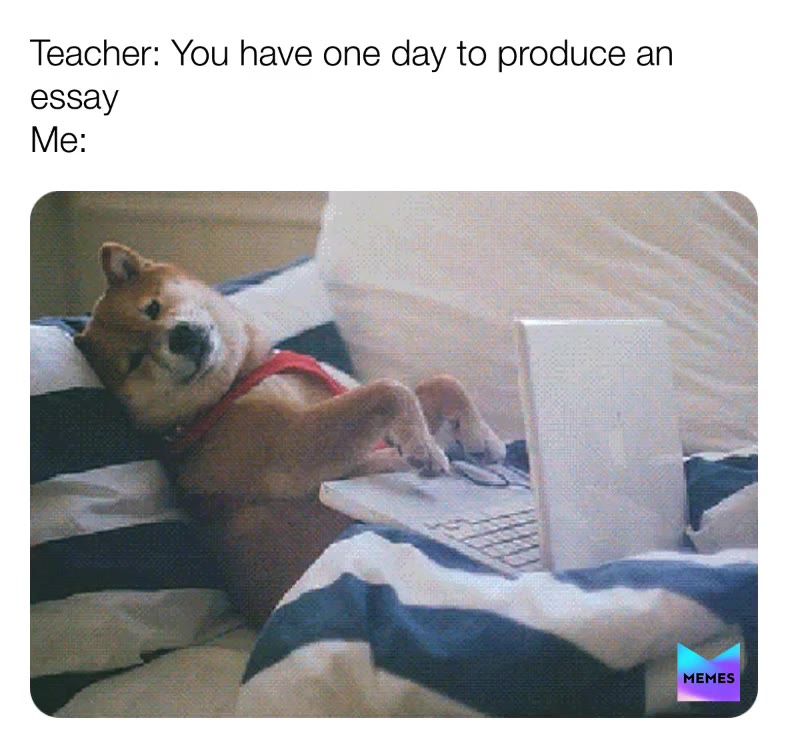 Meme preview