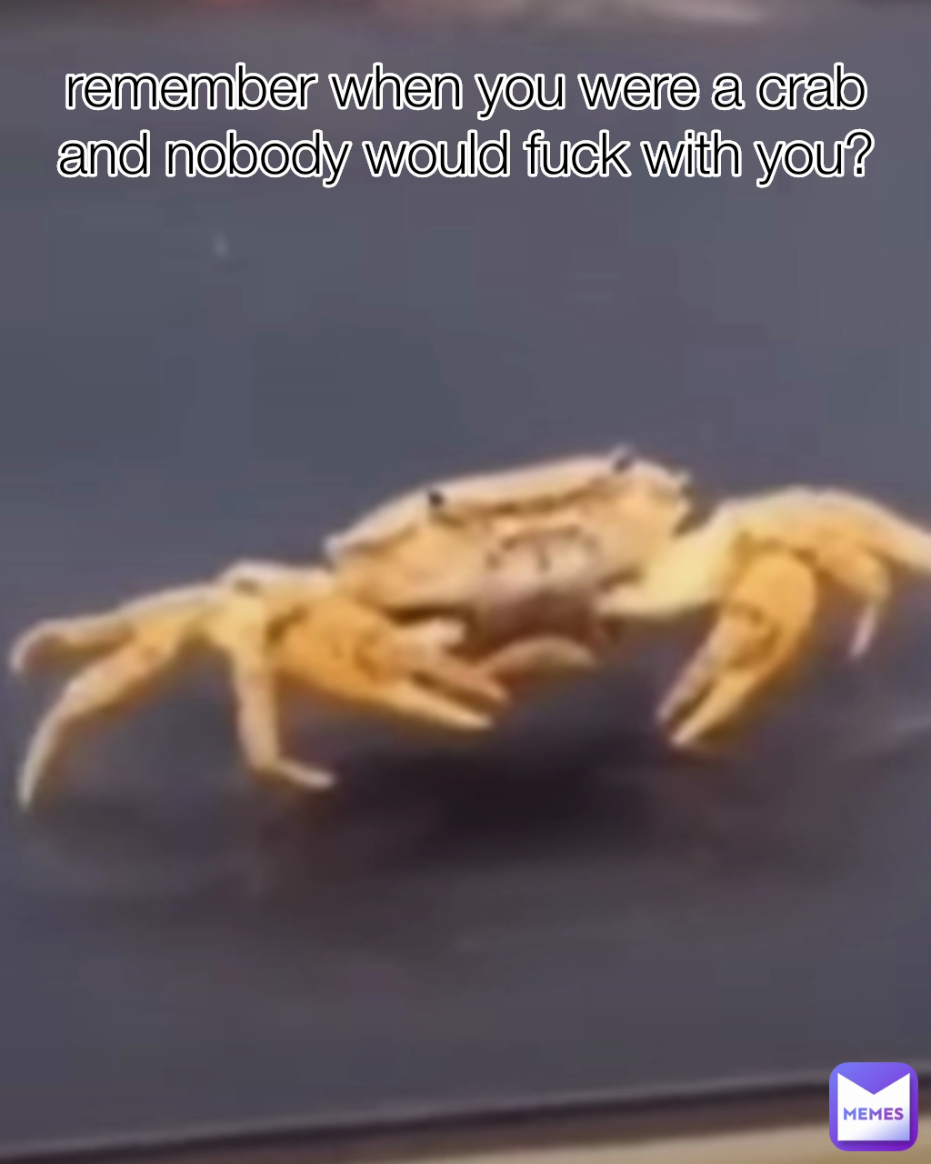 remember when you were a crab and nobody would fuck with you?