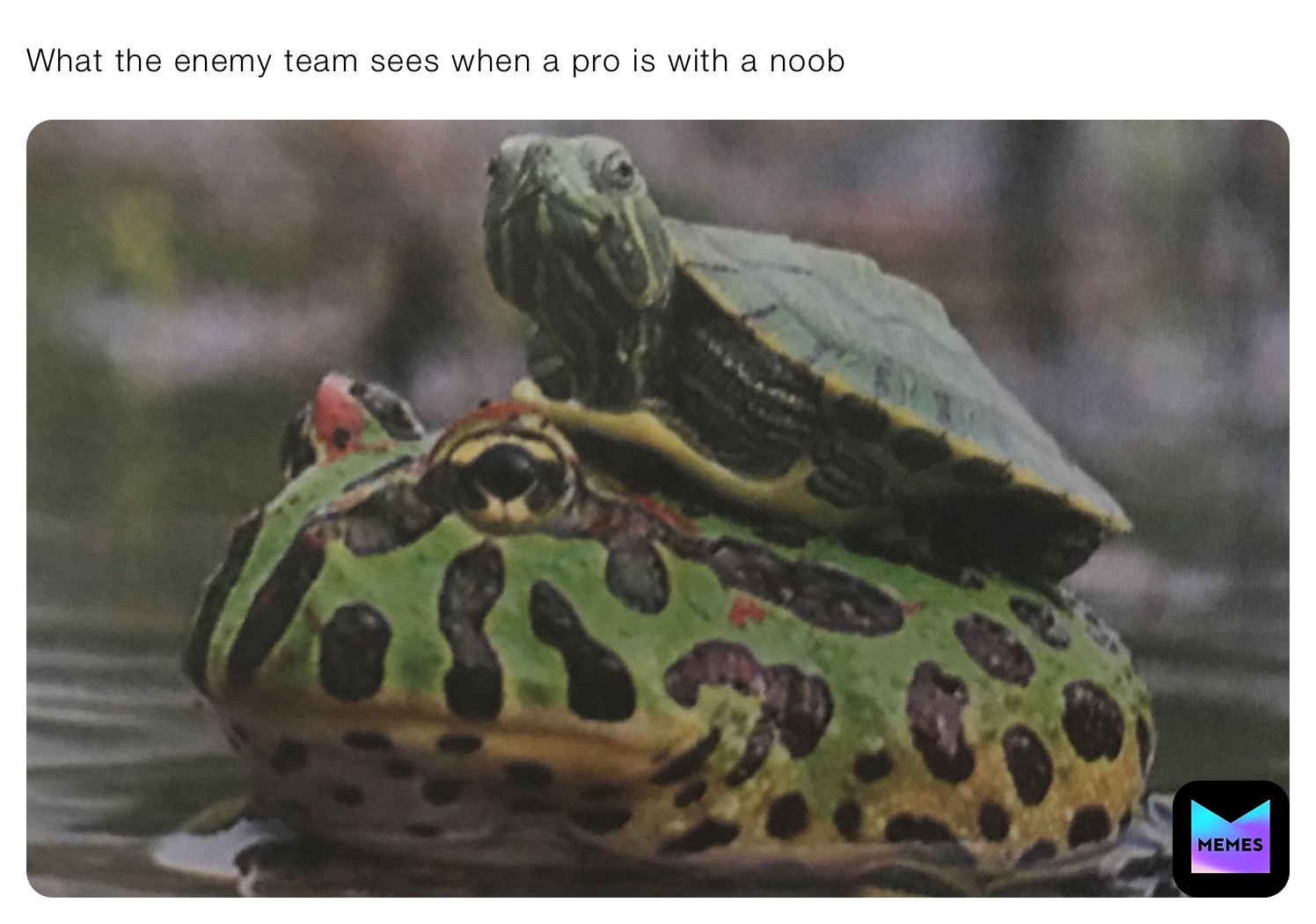 What the enemy team sees when a pro is with a noob