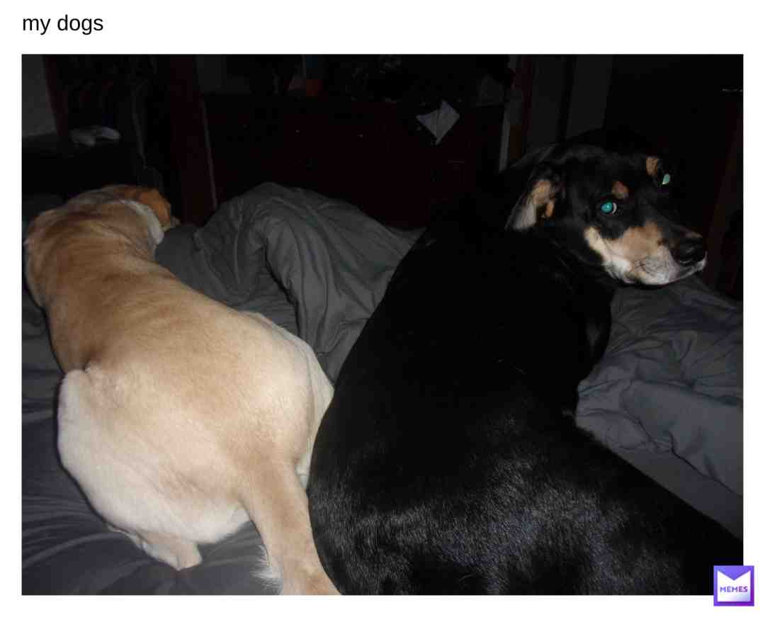 Meme shared by @jaycow