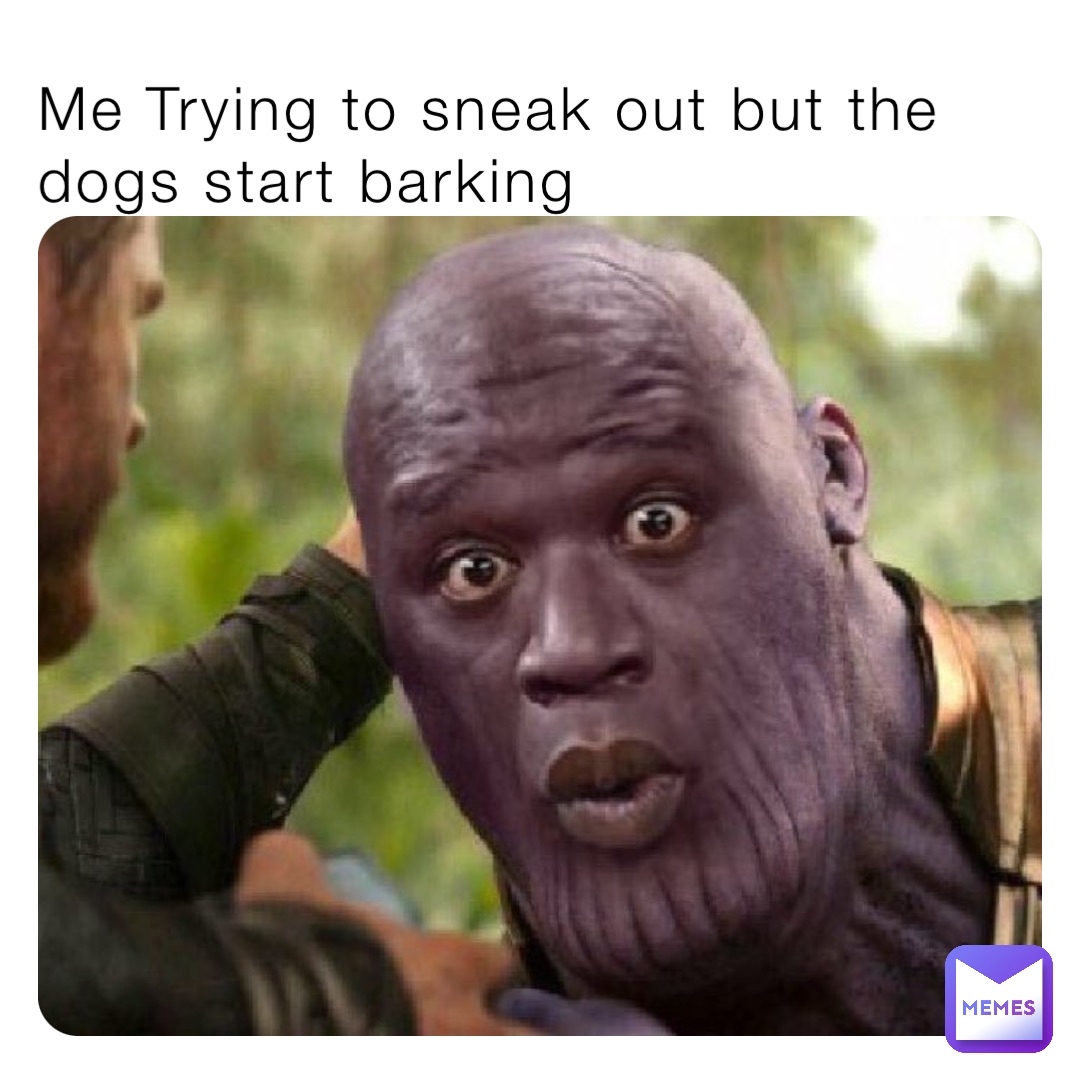 Me Trying to sneak out but the dogs start barking
