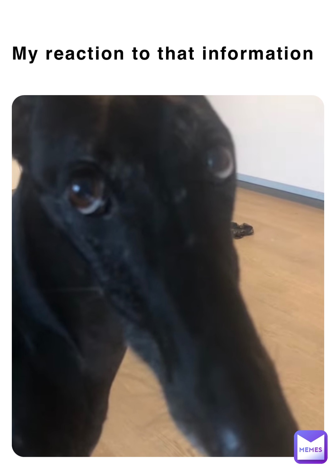 Meme by QueenGoofyMeme