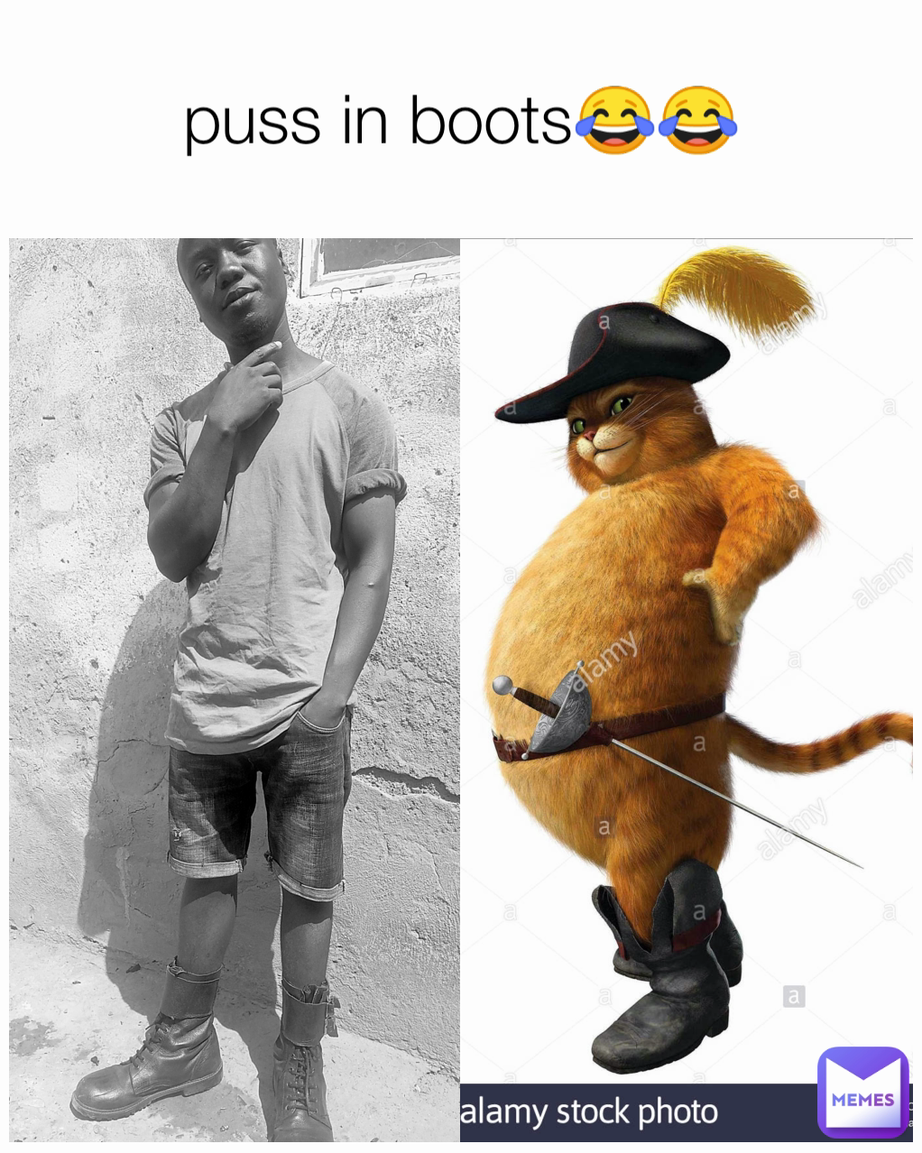 puss in boots😂😂