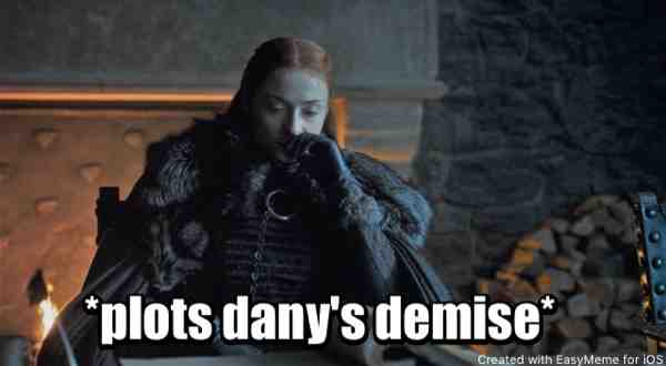 if only this were the case and sansa was the one to end her