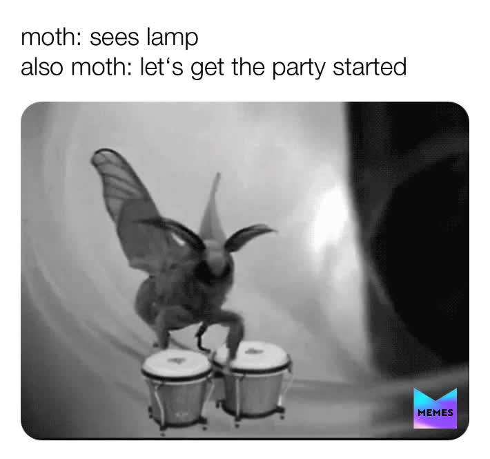 #moth  #mothmeme  #party