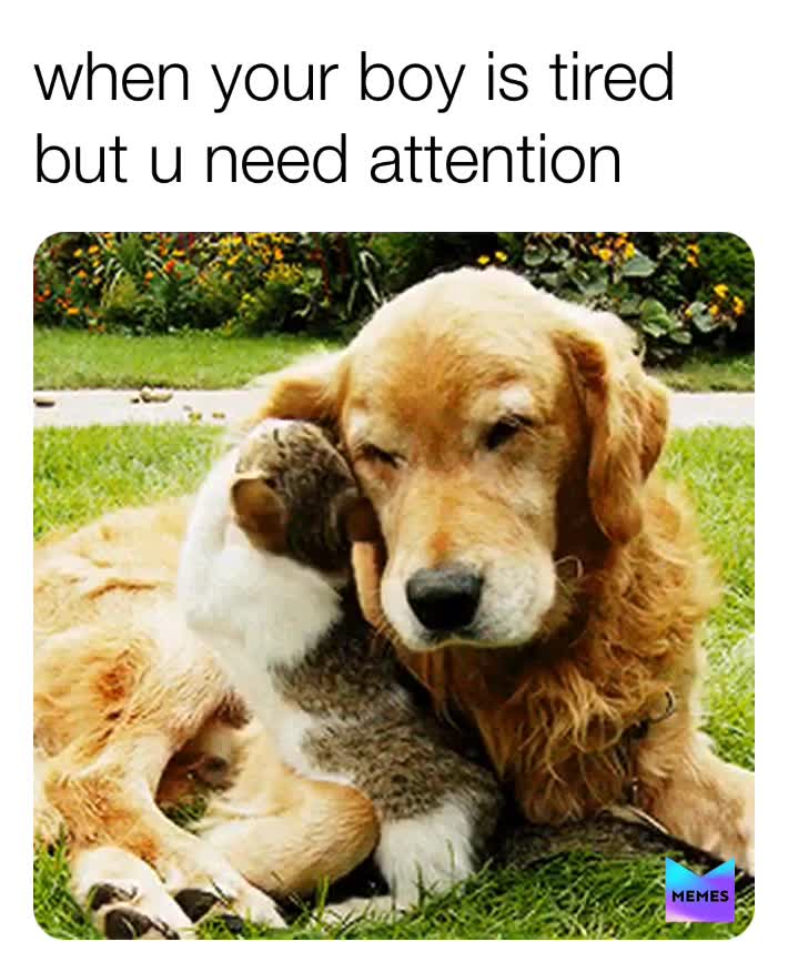 Meme shared by @yourspecialmemes