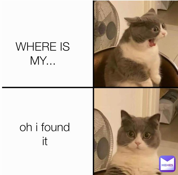 WHERE IS MY... oh i found it