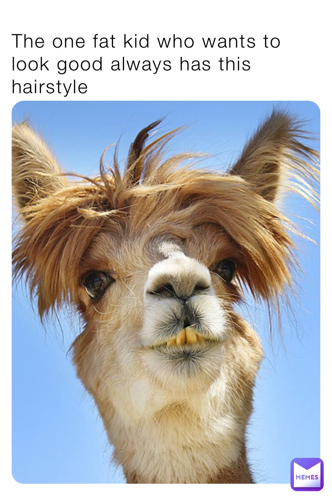 The one fat kid who wants to look good always has this hairstyle