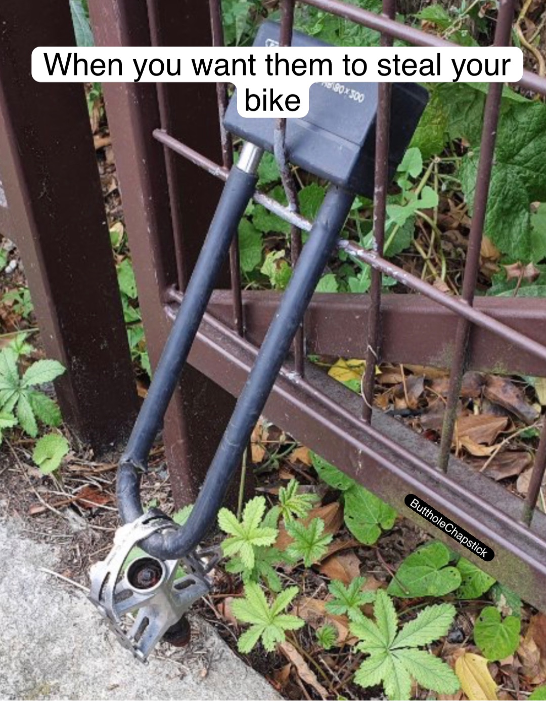 When you want them to steal your bike | @buttholechapstick | Memes