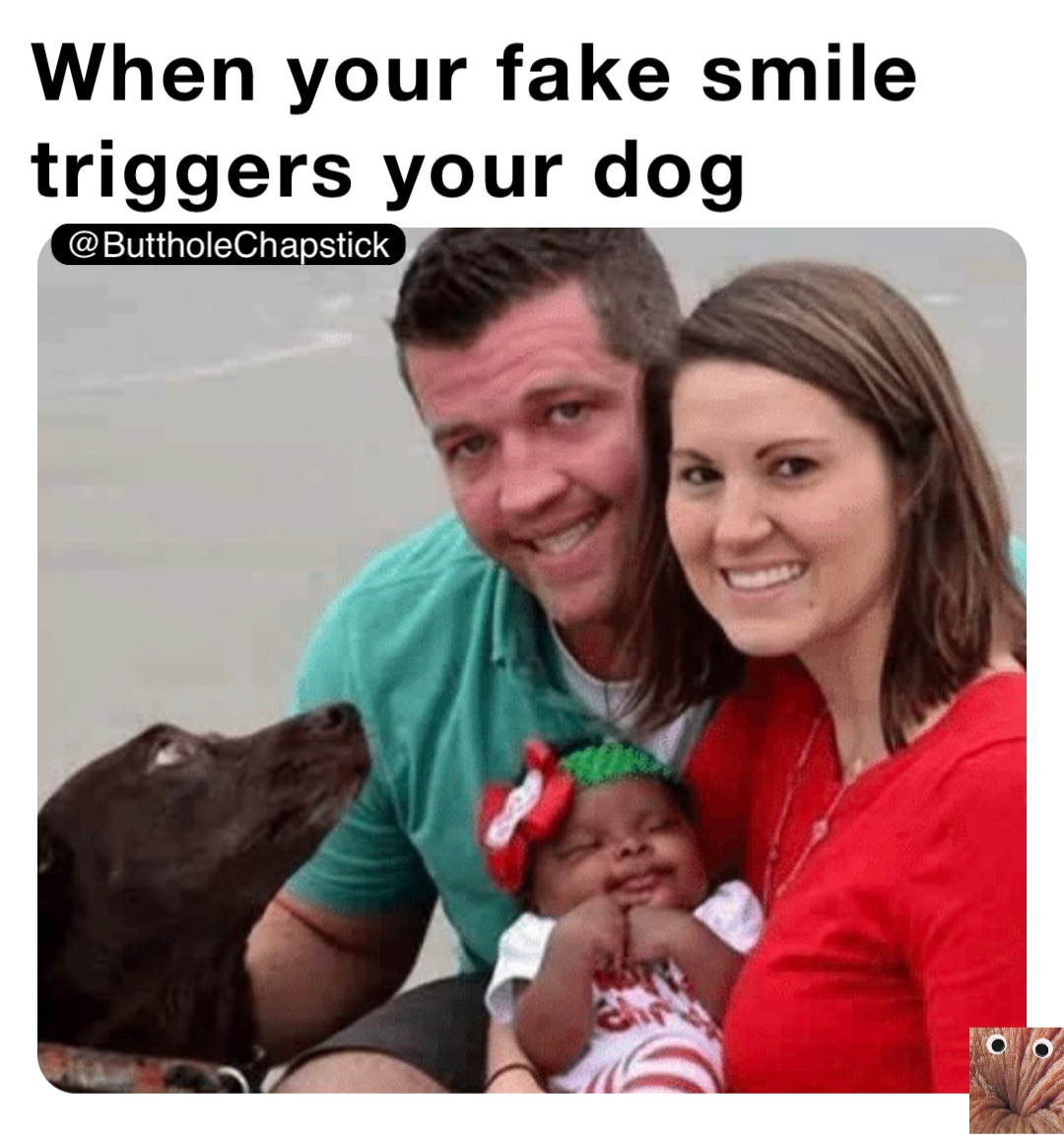 When your fake smile triggers your dog