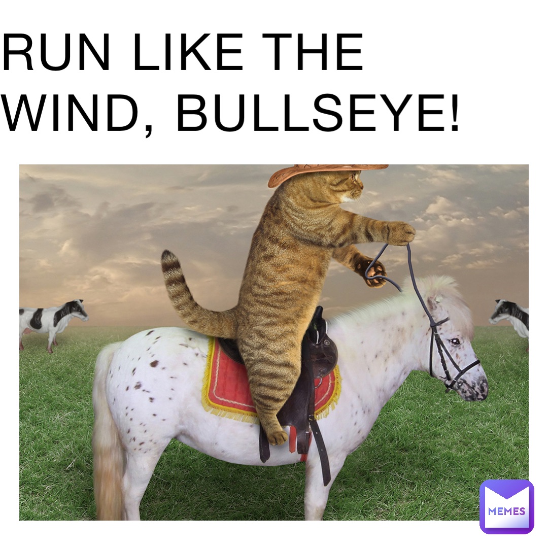 Run like the wind, bullseye!