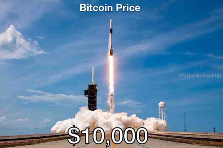  #bitcoinmemes #crypto #bitcoin #memesapp #cryptocurrency #spacex #elon